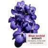 Blue Orchid Face Treatment Oil